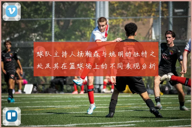 球队主持人杨瀚森与姚明的独特之处及其在篮球场上的不同表现分析