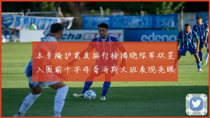 本季掩护宽度排行榜揭晓绿军双星入围前十字母哥海斯文班表现亮眼